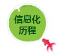 信息化历程.jpg