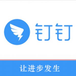 钉钉宜搭-云钉原生低代码平台